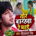 Tor Baurhwa Re Maai
