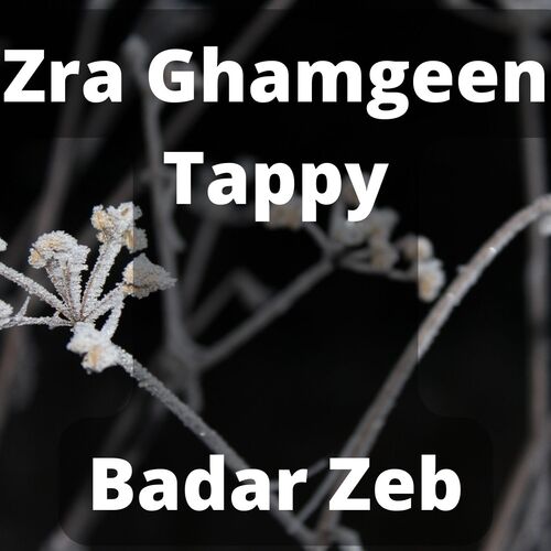 Zra Ghamgeen Tappy_poster_image