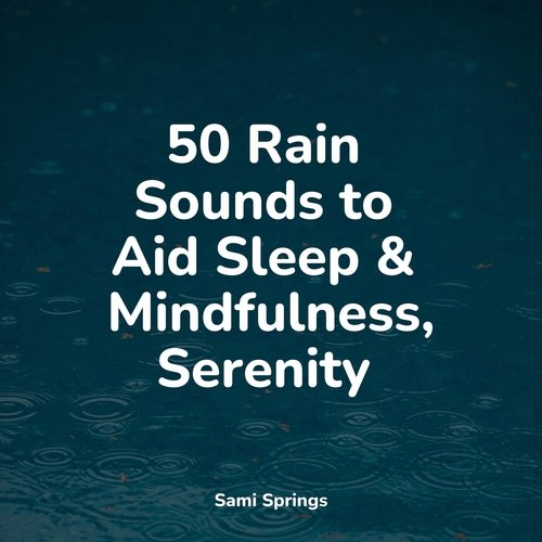 Rain, Storm and Thunder cover art