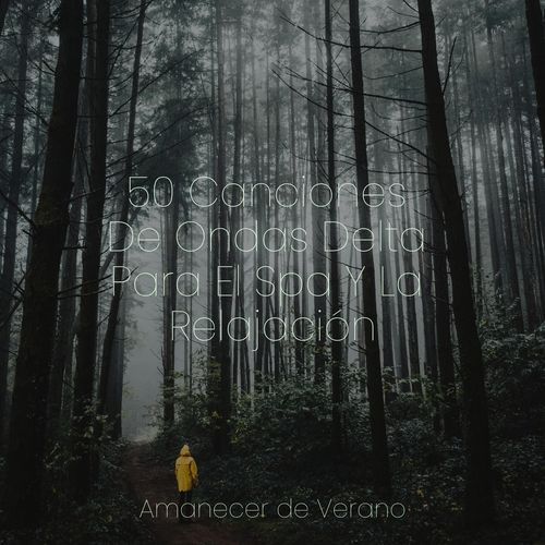 El Baile de la Brasa de Polvo Estelar cover art