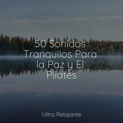 50 Sonidos Tranquilos Para la Paz y El Pilates_poster_image