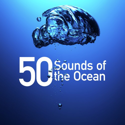 50 Sounds of the Ocean