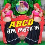 ABCD Bel Lehnga Main