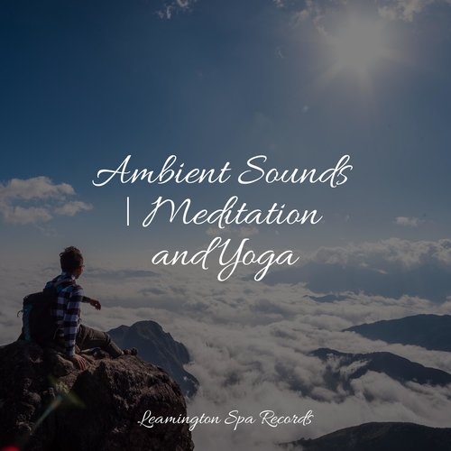 Meditating Music cover art