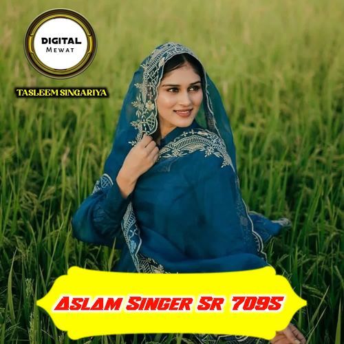 Aslam Singer Sr 7095