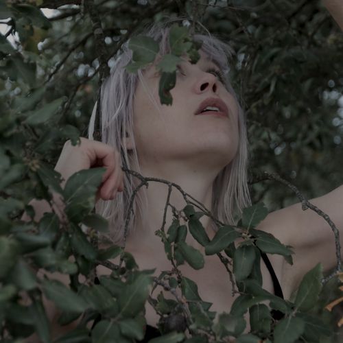 Branches