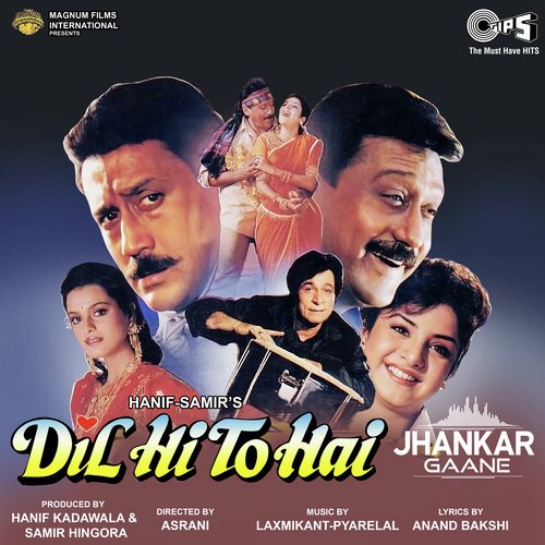 Dil Hi To Hai (Jhankar)