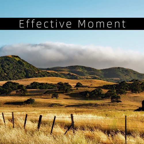 Effective Moment