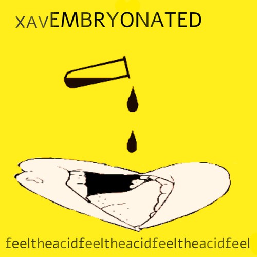 Feel the Acid cover art