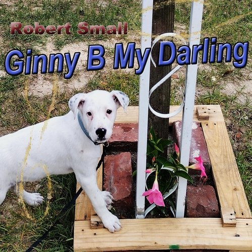 Ginny B My Darling cover art