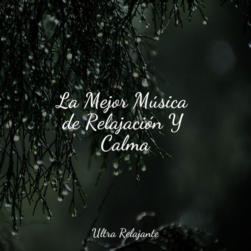 La Mejor Música de Relajación Y Calma