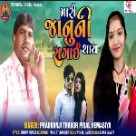 Mari Janu Ni Sagai Thay