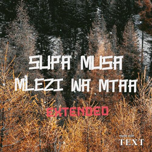 Mgeni - Supa Musa cover art