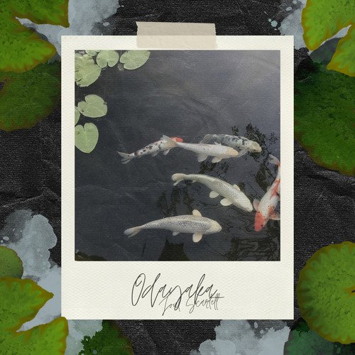 Odayaka cover art