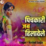 Pichkari Jab Hilawele