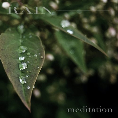 Rain Meditation