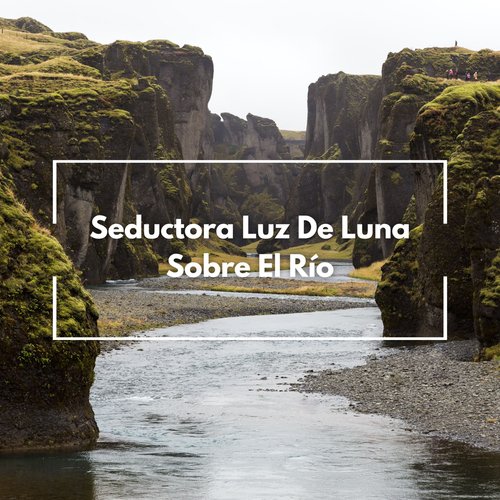 Relajantes Cascadas cover art
