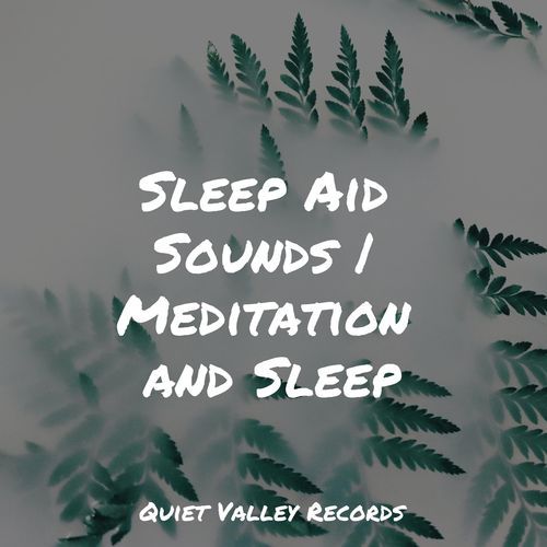 Sleep Aid Sounds | Meditation and Sleep