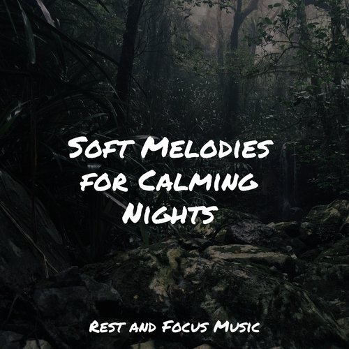 Atmospheric cover art