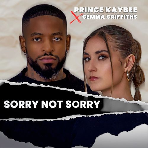 Sorry Not Sorry_poster_image