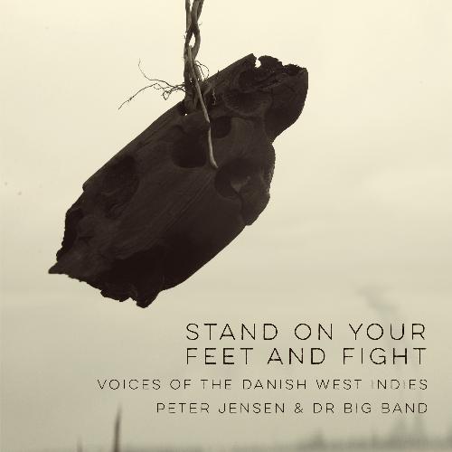 Stand on Your Feet and Fight - Voices of the Danish West Indies_poster_image