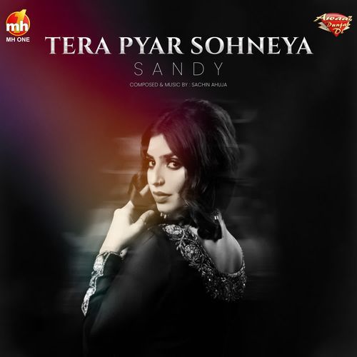 TERA PYAR SOHNEYA