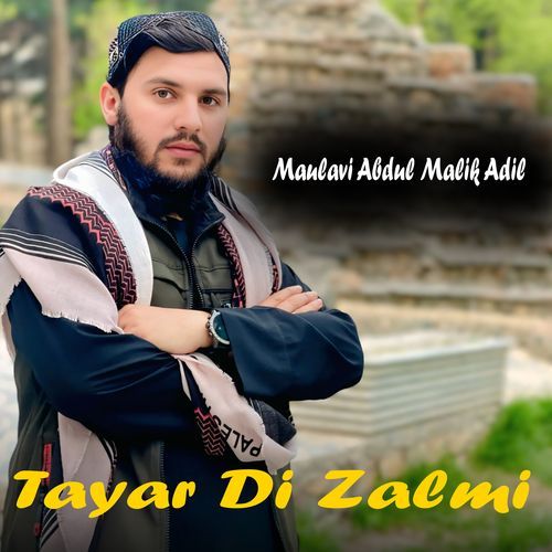 Tayar Di Zalmi