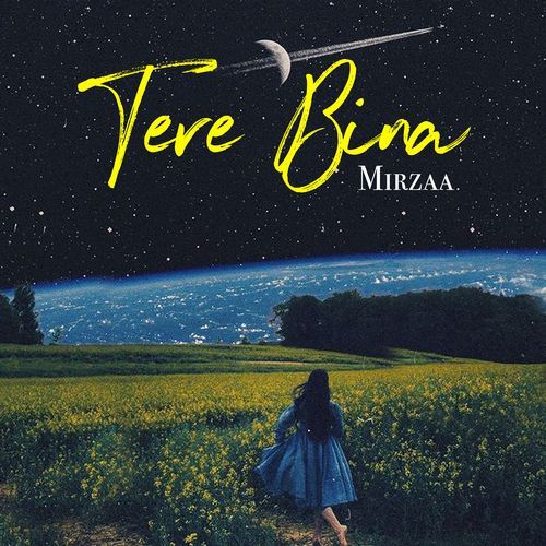 Tere Bina_poster_image