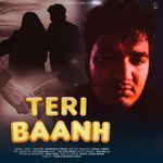 Teri Baanh