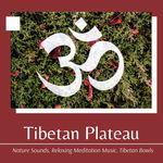 Tibetan Plateau