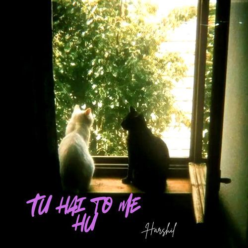 Tu Hai to Me Hu