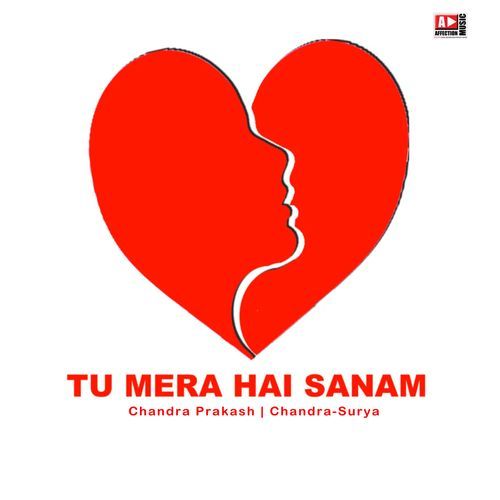 Tu Mera Hai Sanam