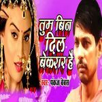 Tum Bin Dil Bekar Hai