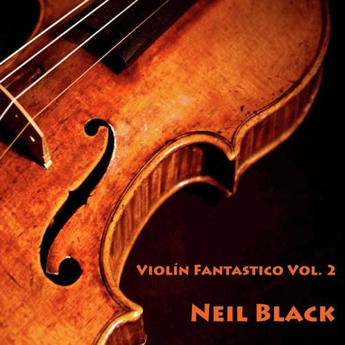 Violín Fantástico, Vol. 2_poster_image