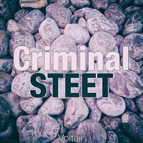 Voltaire (Original Mix) cover art