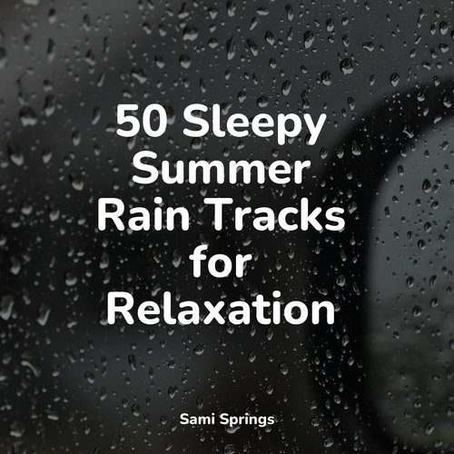 50 Sleepy Summer Rain Tracks for Relaxation_poster_image