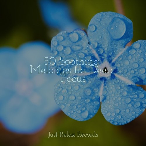 50 Soothing Melodies for Deep Focus