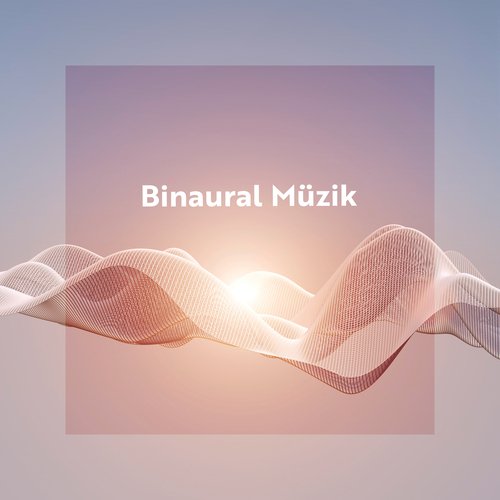 Binaural Müzik: Şifa Frekansları, Titreşimli Meditasyon, Uyku Müziği, Derin Konsantrasyon_poster_image