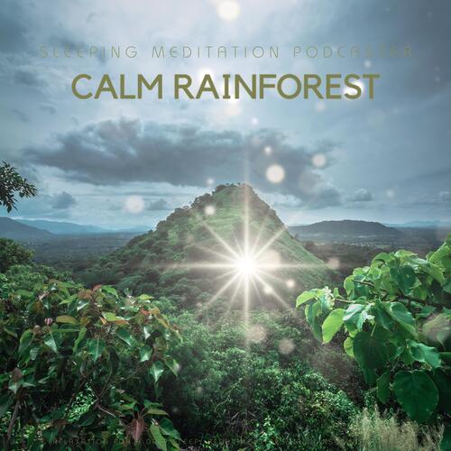 Rainforest Dreamland Meditation cover art