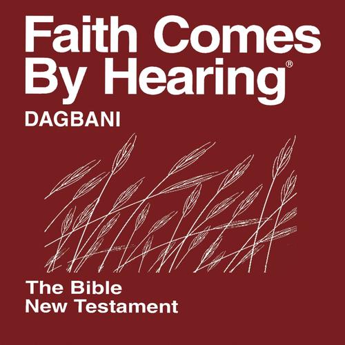 Dagbani New Testament (Non-Dramatized)