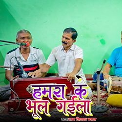 Hamra Ke Bhul Gaila