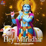 Hey Murlidhar