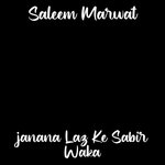 Janana Laz Ke Sabir Waka