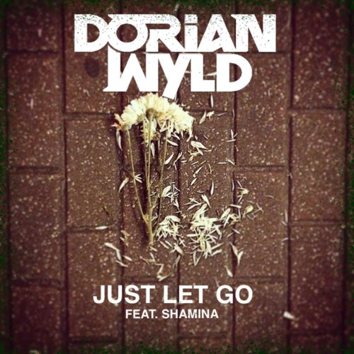 Just Let Go (feat. Shamina)