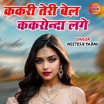 Kakari Teri Bel Kakronda Lage