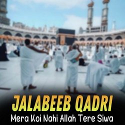 Mera Koi Nahi Allah Tere Siwa-KiMgUkdYD3E