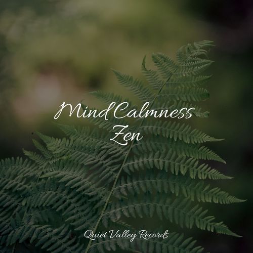 Mind Calmness Zen