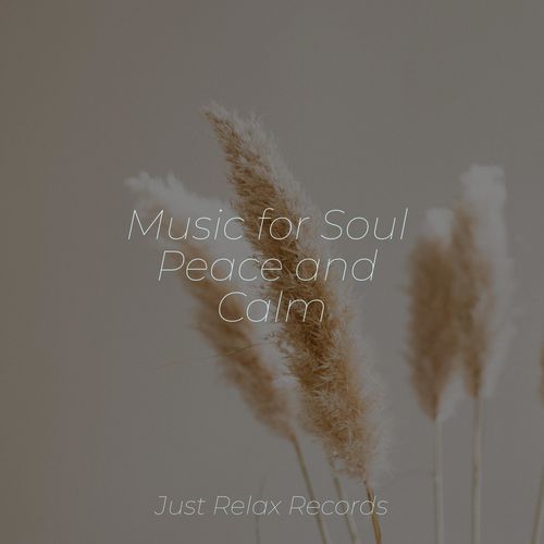 Music for Soul Peace and Calm