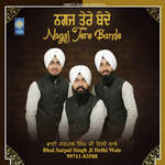 Nagaj Tere Bande