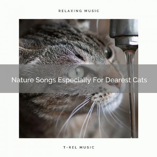 Wind Tunes Especially For Beloved Cats cover art
